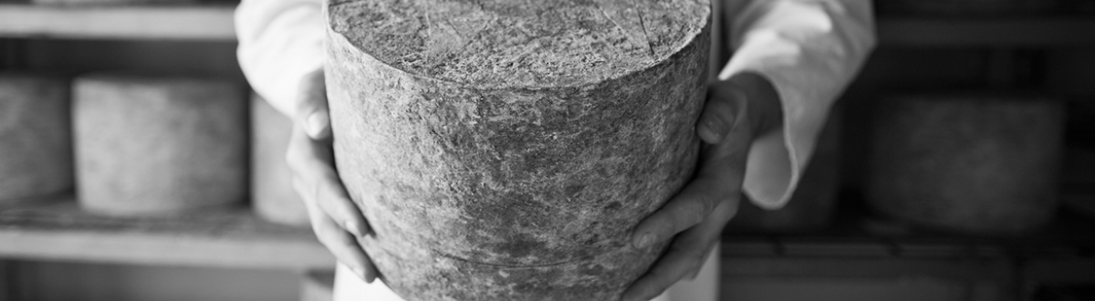 Staffordshire Cheese Company, Artisan cheese and dairy producers