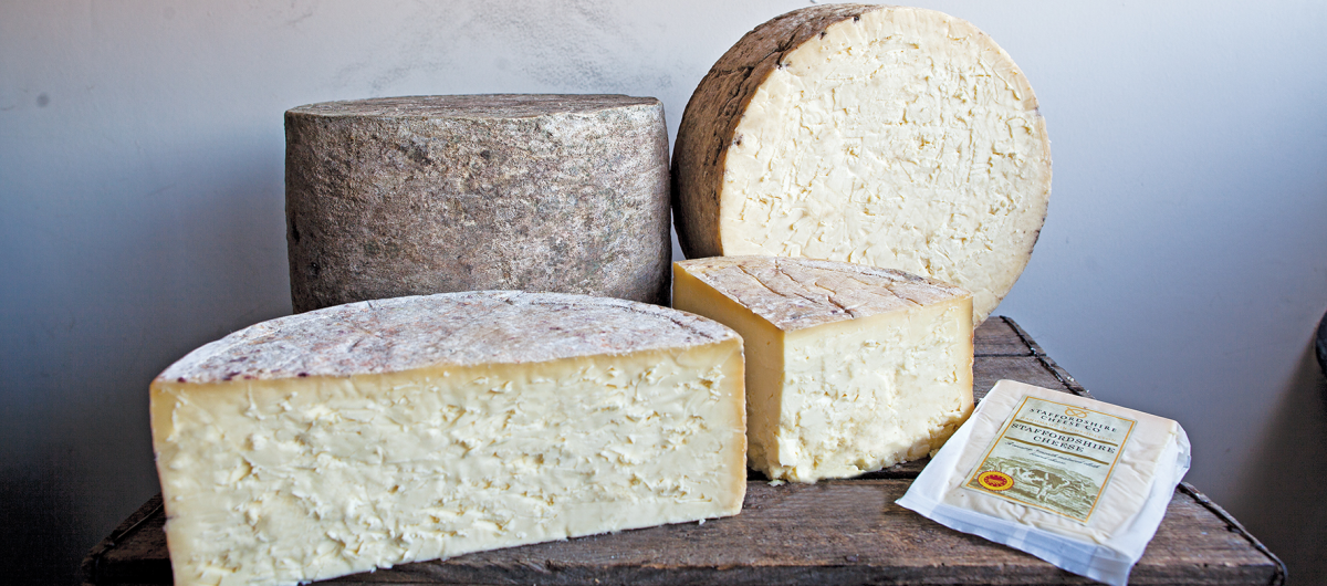 Range of distinct artisan cheese